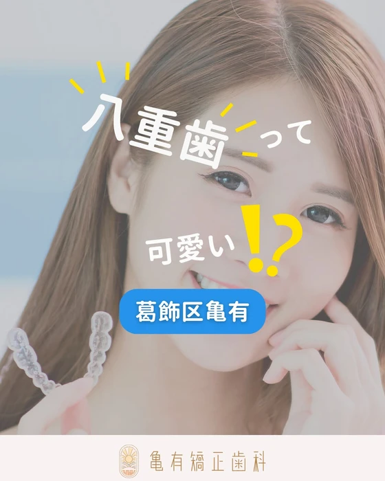 画像289