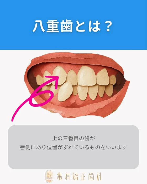 画像290