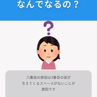 画像291