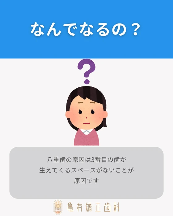 画像291
