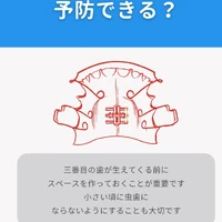 画像292