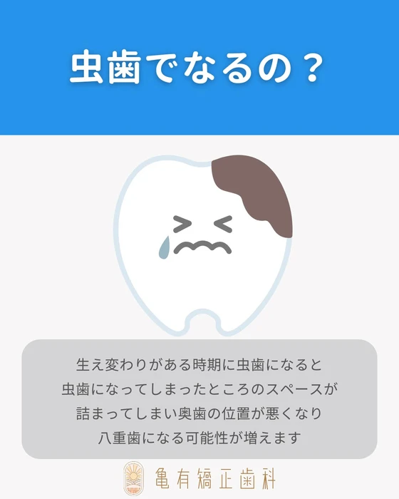 画像293