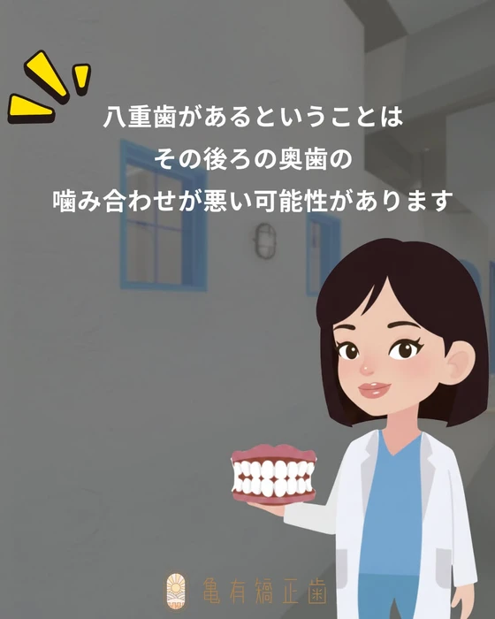 画像294