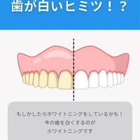 画像311