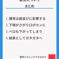 画像329
