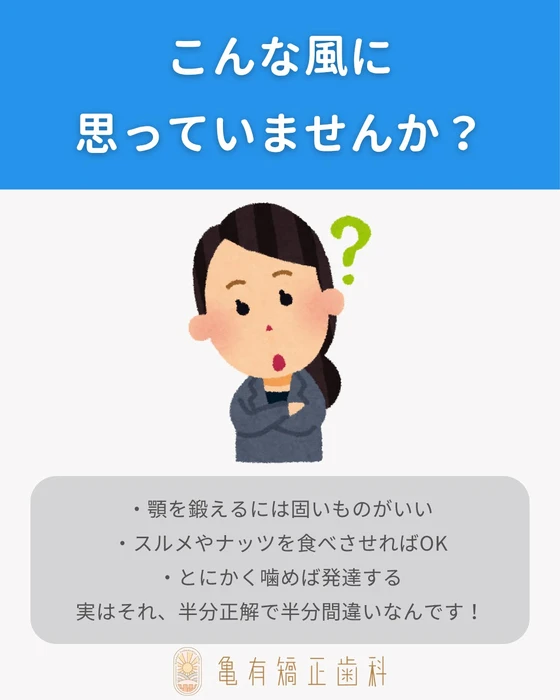 画像355