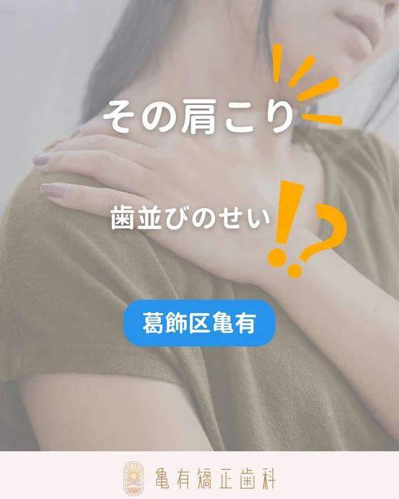 画像366
