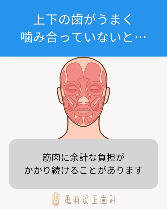 画像369