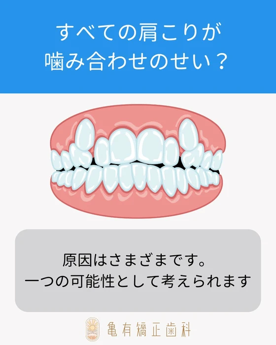 画像371