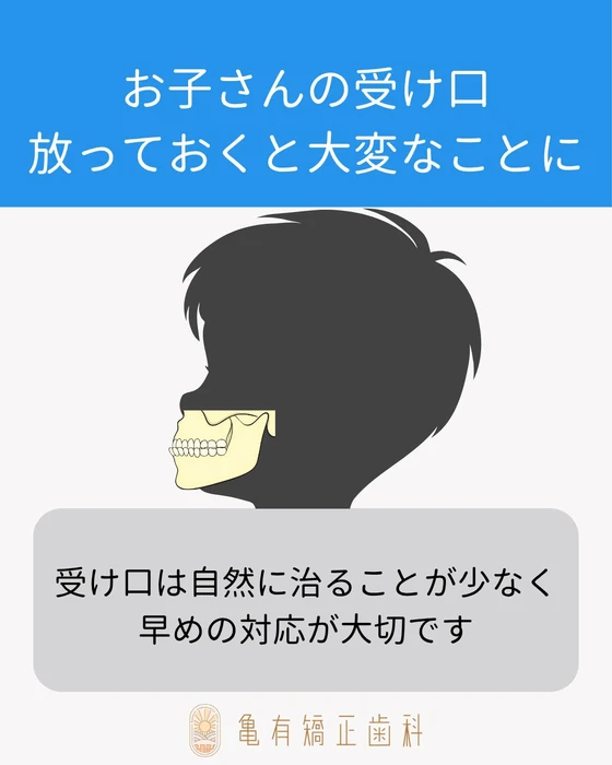 画像446