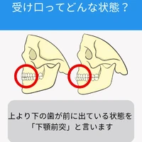画像447