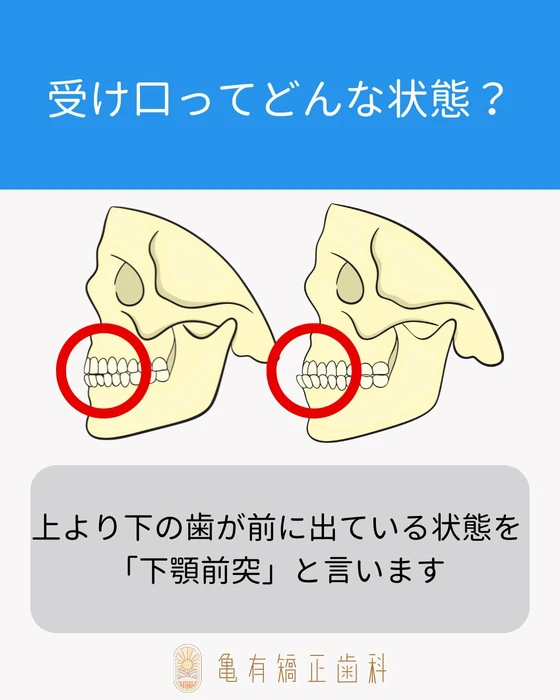 画像447