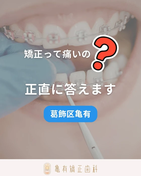 画像478