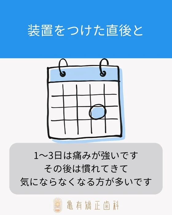 画像481