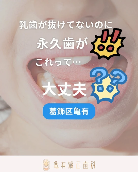 画像522