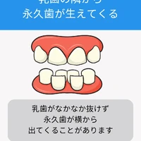 画像524