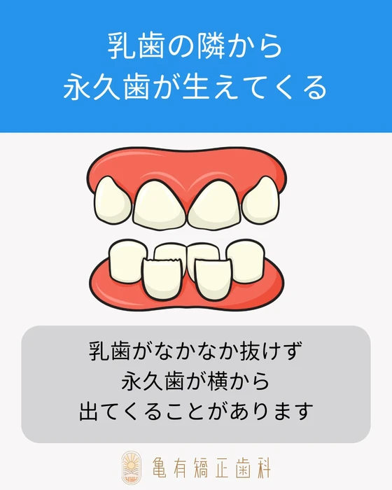 画像524