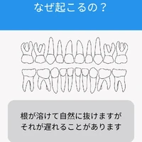 画像525