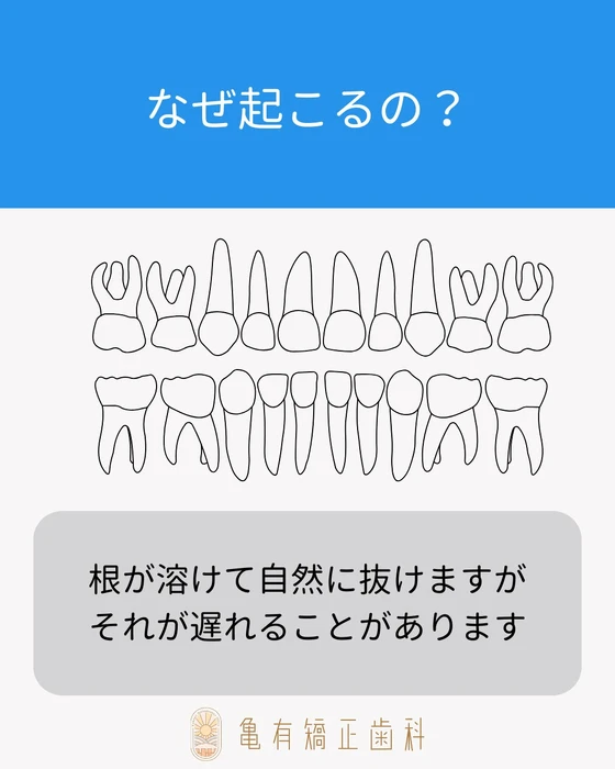 画像525