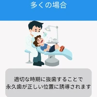 画像527