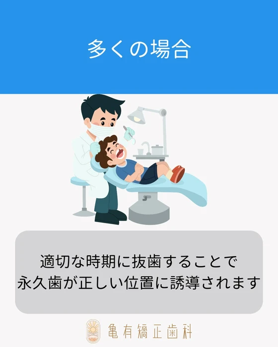 画像527