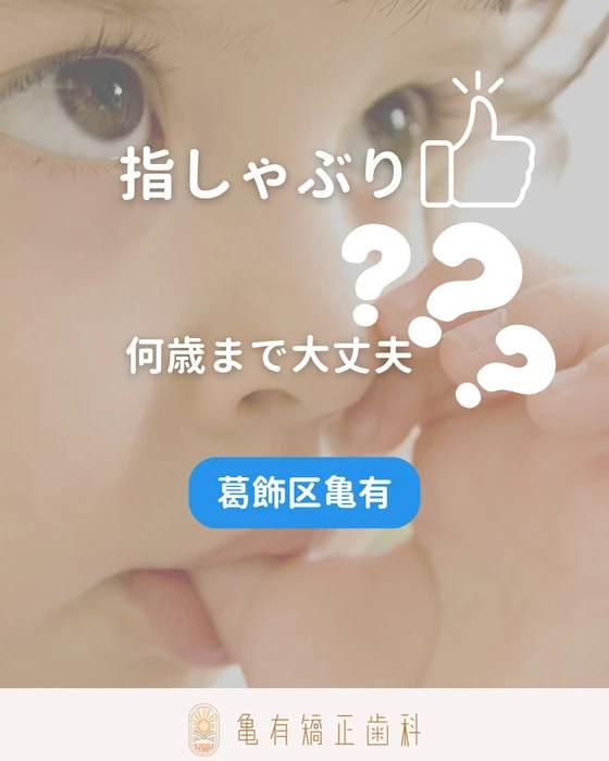 画像533