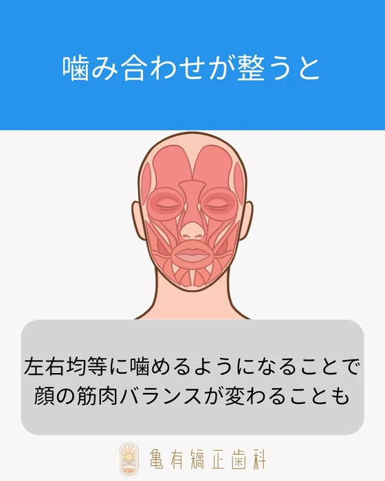 画像593
