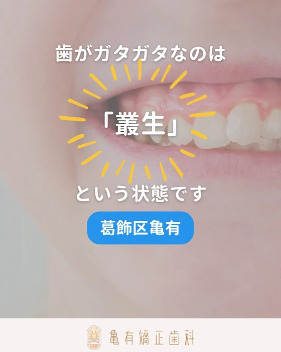 画像627