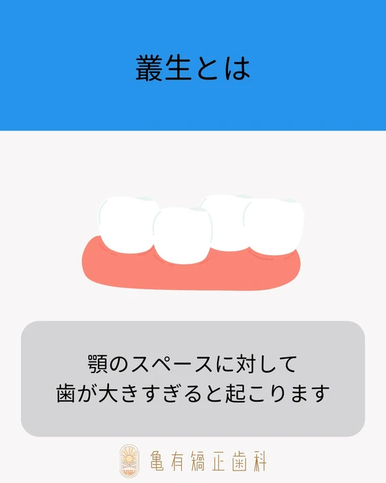 画像629